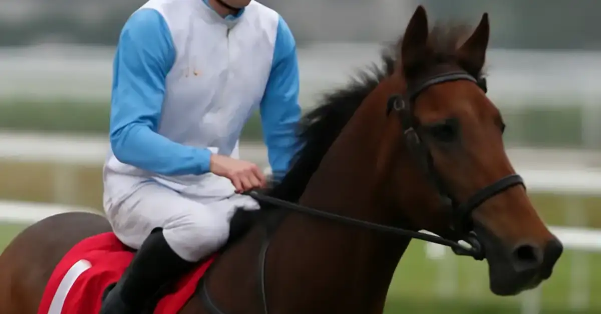 James McDonald Fined HK$120000